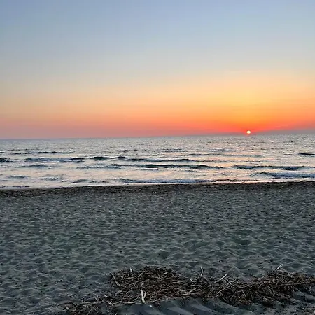 Holiday home House Viareggio